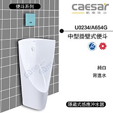 附發票 含稅 CAESAR凱撒 中型掛壁式便斗/背進水 U0234/A654G   純白《中部免運》【東益氏】