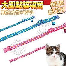 【🐱🐶培菓寵物48H出貨🐰🐹】DAB PET》可愛貓咪大圓點三分貓項圈 特價75元(補貨中 下標前請先詢問)