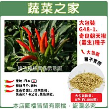 【蔬菜之家滿額免運00G48-1】大包裝. 奇良朝天椒(叢生)種子8克(約1800顆) ※不適用郵寄掛號