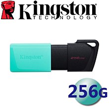 Kingston 金士頓 256GB DTXM DataTraveler Exodia USB3.2 隨身碟 256G