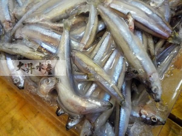 【大昇水產】日本進口特大丁香魚*好評推薦超低特價百元鮮物*