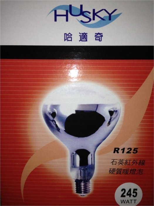 HUSKY 哈適奇 245W 紅外線暖燈泡 多功能浴室乾燥暖風機專用一組2顆 電壓110V 220v