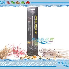 【魚店亂亂賣】UP小型魚蝦專用網/魚網/蝦網(可伸縮)圓形(小)5.5cm台灣雅柏D-299-5.5-R