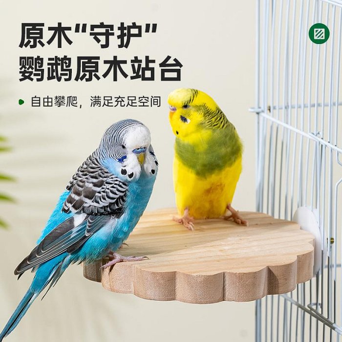 酷克鸚鵡實木站台跳板鳥玩具休息平台玄鳳牡丹虎皮跳台鳥籠用品