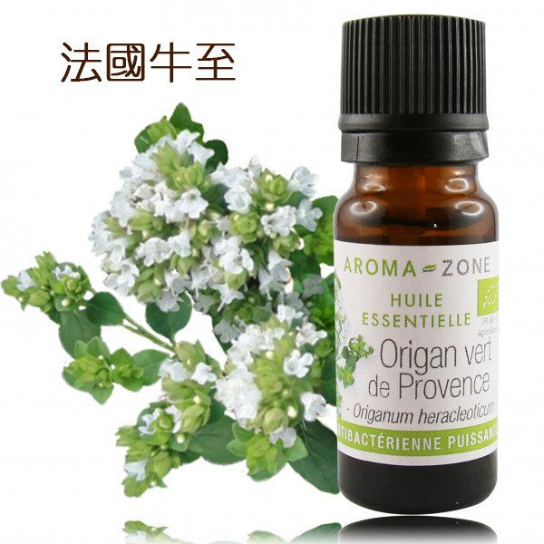 AROMA-ZONE 10-30ml 有機 馬鬱蘭 (牛至) 精油 Origan vert de Provence BIO