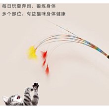 【🐱🐶培菓寵物48H出貨🐰🐹】dyy透明金蔥條羽毛逗貓棒 貓咪玩具74cm 特價39元