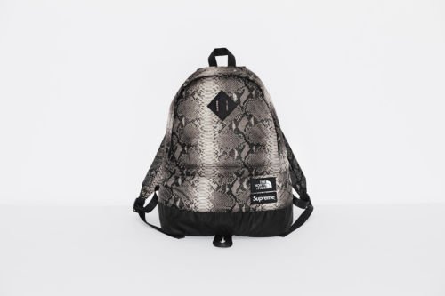 日貨代購CITY Supreme The north face Snakeskin Lightweig Bag 現貨