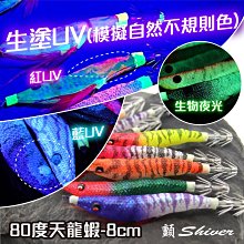 特價68-顫Shiver~80度天龍蝦/8公分