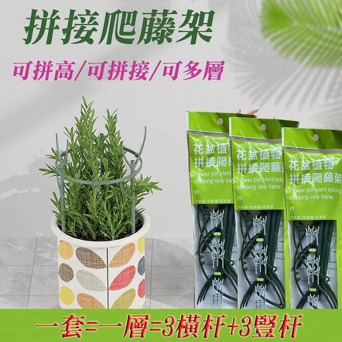 【珍愛頌】N424 可拼接 植物爬藤支架 護葉架 植物支架 植物支撐桿 盆栽支撐架 盆栽支架 爬藤架 攀爬架 花架 支柱