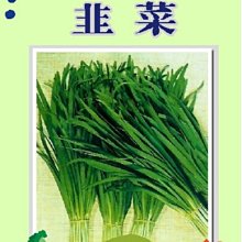 【野菜部屋~】D04 日本韭菜種子1.35公克 , 大葉品種 , 香味濃 , 每包15元~