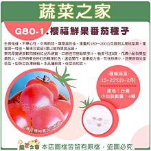 【蔬菜之家滿額免運】G80-1.櫻福鮮果番茄種子3顆 //粉紅番茄，口感佳甘甜鬆軟多汁，糖度可達8度。鮮食、佐菜兩相宜。