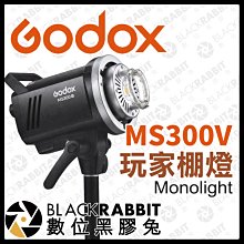 數位黑膠兔【 Godox 神牛 MS300V 玩家棚燈 】110V LED 模擬登 閃燈 棚燈 攝影燈 開年公司貨