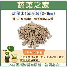 【蔬菜之家滿額免運003-AA80】珪藻土(矽藻土顆粒)1公斤裝(3~6mm)※不適用郵寄掛號※