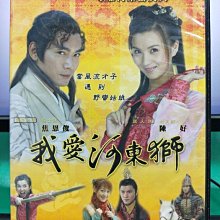 影音大批發-S09-007-正版DVD-大陸劇【我愛河東獅／共5片30集】-焦恩俊 薛佳凝 陳好(直購價)