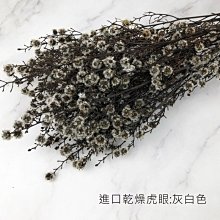 商品縮圖-3