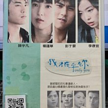 影音大批發-S236-正版DVD-台劇【我只在乎你 全43集11碟】-楊謹華 彭于晏 陳宇凡(直購價)