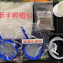 【現貨】【溪湖孔雀魚】新手敷蝦組  敷蝦一次就上手 鬥魚玩家必BUY 自備寶特瓶和打氣機就可以啦!