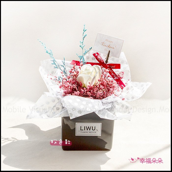 LIWU在你身邊 滿天星 乾燥盆花 開幕誌慶 生日禮物 交換禮物 畢業 母親節禮物(2色可挑)P001