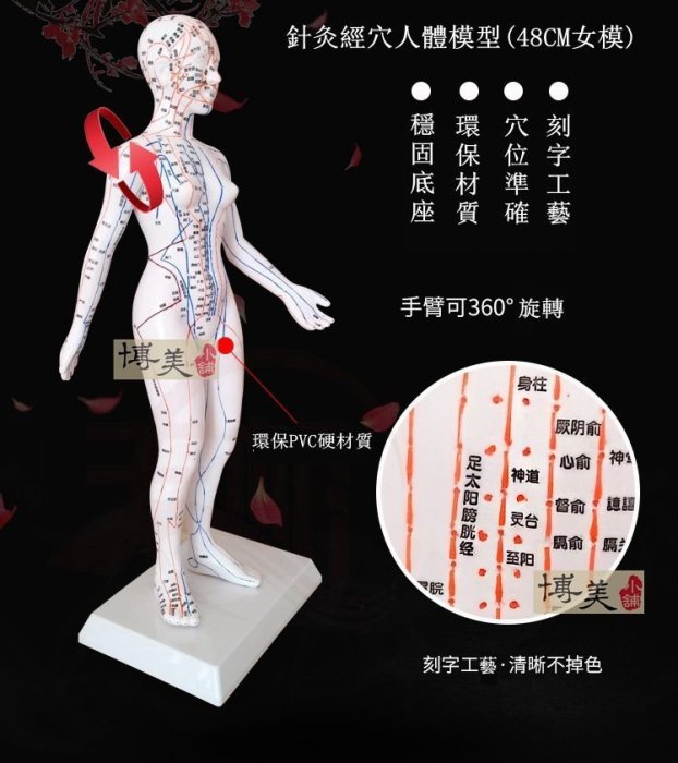 博美小舖 缺貨(贈人體經絡穴位圖) 白色刻字版 人體針灸模型(手臂可旋轉) 人體穴位模型 人體經絡模型 針灸銅人模型
