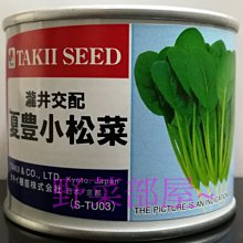 【野菜部屋~】E55 夏豐小松菜種子1.7公克 , 耐熱品種 , 生長不停滯 ,每包15元 ~