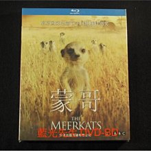 [藍光BD] - 蒙哥 The Meerkats 國語發音 - 保羅紐曼生前最後記錄片作品