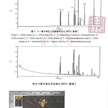 商品縮圖-8