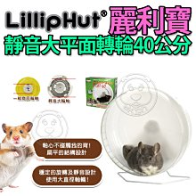 📣長備貨🚀》LillipHut麗利寶 2626 40cm 靜音大平面轉輪(附支架) 滾輪 鼠 刺蝟 特價1419元