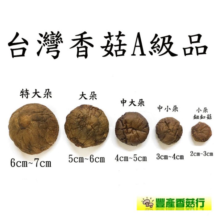 ~中大朵台灣香菇(四兩裝)A級品~小包裝，南投埔里產，精挑細選，高品質，送禮自用倆相宜。【豐產香菇行】