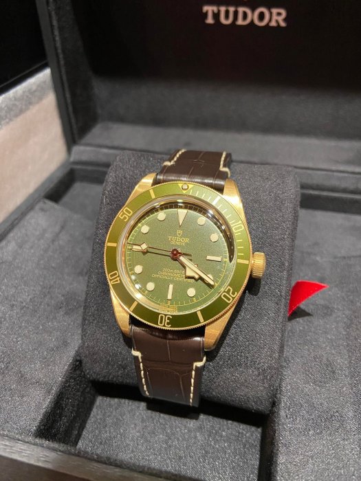 TUDOR 帝舵 79018V 全金綠面