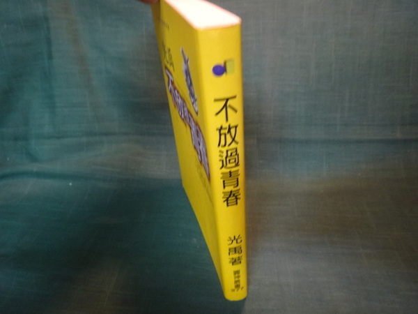 【愛悅二手書坊 13-53】不放過青春 光禹 著 圓神