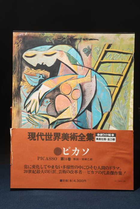 現代世界美術全集 25巻揃い 集英社 定価10万円 - アート/エンタメ