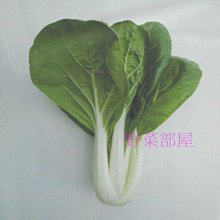 【野菜部屋~】F10 松柏奶油白菜種子2公克 , 葉片大 , 較圓 , 株型直立 , 耐病 , 每包15元 ~