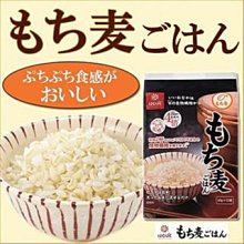 健康首選 日本爆紅 Hakubaku 糯麥米  Hakubaku 國產大麥 大麥飯 黃金糯麥 はくばく Hakubaku