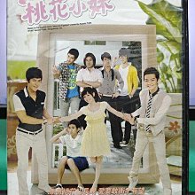 影音大批發-S517-正版DVD-台劇【桃花小妹 全13集4碟】-汪東城 王心凌 黃靖倫 辰亦儒 朱孝天(直購價)