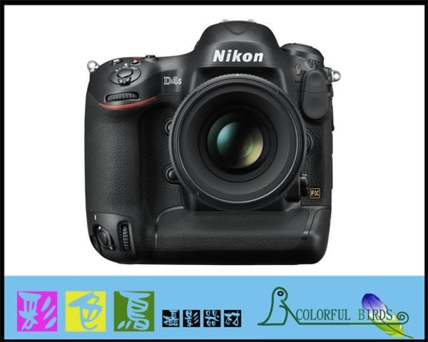 彩色鳥(二手出清 D4S) NIKON D4S 單機身 品項良好  (NIKON D5)可參考