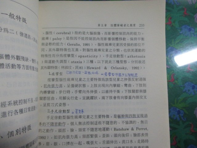 【鑽石城二手書】 1999再版4刷《特殊教育導論(修訂版)》王文科/徐享良/洪榮照等 心理ISBN:957702243X