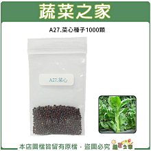 【蔬菜之家滿額免運】A27.菜心種子1000顆(大心芥菜.節間長，莖中粗，皮較薄.蔬菜種子)