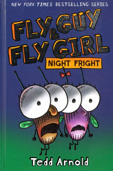 ＊小貝比的家＊FLY GUY AND FLY GIRL: NIGHT FRIGHT/平裝/3~6歲