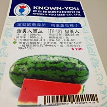 【野菜部屋~蔬菜種子】R17 甜美人西瓜種子50粒 , 重3~4公斤 , 香甜 , 每包150元 ~