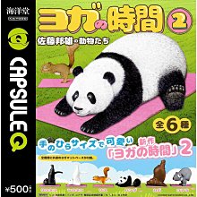 全套6款 佐藤邦雄的動物們 瑜伽時間 P2 扭蛋 轉蛋 熊貓 無尾熊 貓咪 海洋堂 KAIYODO 日本正版【083456】