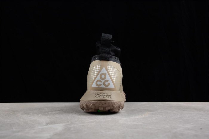 NIkE ACG Mountain Fly Low GTX SE 戶外登山運動鞋