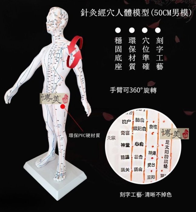 博美小舖 缺貨(贈人體經絡穴位圖) 白色刻字版 人體針灸模型(手臂可旋轉) 人體穴位模型 人體經絡模型 針灸銅人模型