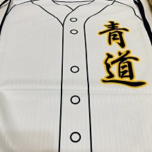 貳拾肆棒球-日本帶回鑽石王牌青道紀念球衣型收納袋.MIZUNO製