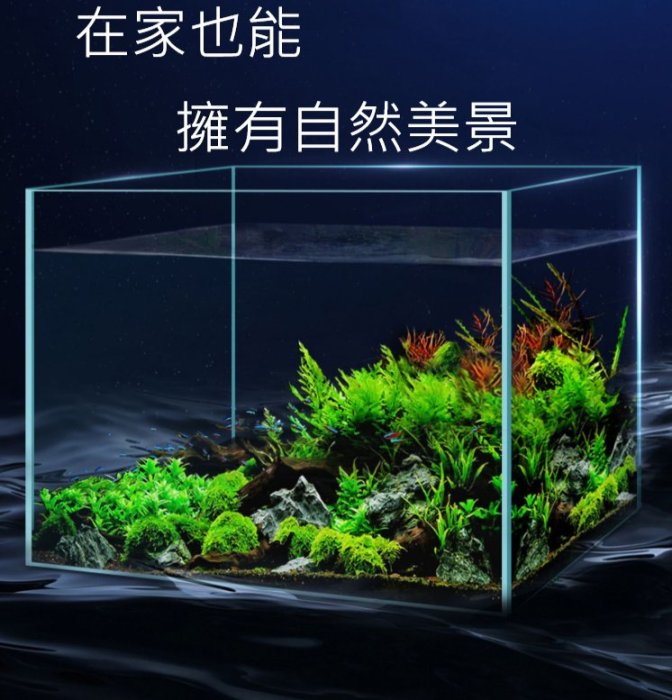 台北►►多彩水族◄◄台灣日印《超白玻璃魚缸 / 2尺 開放缸(60×45×45cm)》厚度8mm 水草 造景 養魚