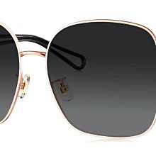 《名家眼鏡》PARIM 精品時尚金色大方框搭黑色鏡腳太陽眼鏡76033 K1R【台南成大店】