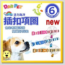 【🐱🐶培菓寵物48H出貨🐰🐹】DAB PET》活力海洋系列 6分插扣項圈 (3種顏色) 特價105元