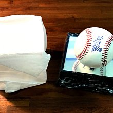 Weigh-In 陳偉殷 大聯盟 MLB 親筆簽名棒球 Rawlings 附展示座＋透明罩