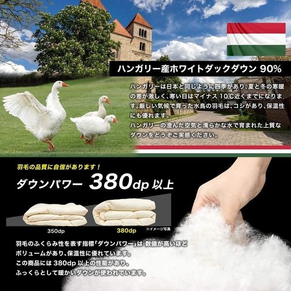 Showa-nishikawa【日本代購】昭和西川高檔羽絨被單人匈牙利產白鴨絨90% 超輕面料可水洗 - 日本製 - 藍