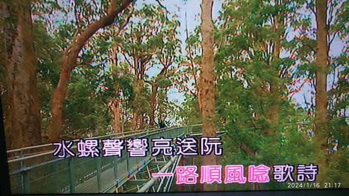 寄賣二手流當金嗓卡拉OK 伴唱機 點唱機 點歌機 金嗓 CPX-900 (新上架a)