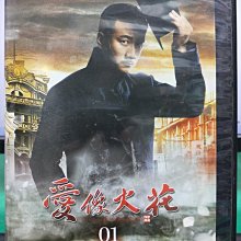 影音大批發-S43-032-正版DVD-大陸劇【愛像火花／共6片35集】-胡軍 汪一燕 王豔(直購價)